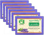 Ayurdaily Pure Lavender Bath Soap, 625 G (Pack Of 5)