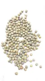 Vinarghya Jangali Bhendi Bij 100g