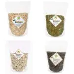 NatureVit Healthy Seeds Combo Pack of 4 | 200g x 4 Each | Watermelon, Pumpkin, Sunflower, & Chia | (Super Saver Combo)