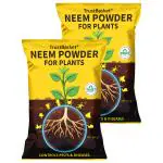 Trustbasket Multicolor Neem Cake Powder Organic Fertilizer and Pest Repellent For Plants (2)