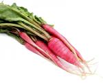 MOZETTE Red Radish Seed (24 per packet)