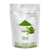 Holy Natural Spinach Powder - 400 GM