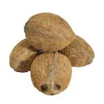 Platone Husked Coconut (Pack 4) Organic Coconut / Pooja Coconut / Nariyal
