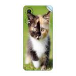 GADGETSWRAP Printed Vinyl Skin Sticker for Oppo A78 (5G) - wallpaper-9