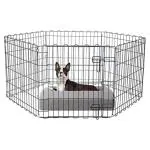 Wow Dog Foldable Metal Pet Dog Exercise Fence Pen with Gate - 60 x 60 x 24 Inches