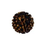 Feel Touch Mart Ek Mukhi GOL Dana Nepali Rudraksha Original Certified Natural 1 Face Round Rudraksha Purest Nepal Amazing with Pendant for Men & Women