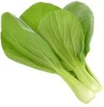 XOLDA Pak Choi / Bok choy Seed (15 per packet)