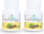 NEO MEDICS Giloy extract capsule for Immunity Booster Combo Pack (Pack of 2)