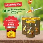ARYAVRAT - Black Pepper-Kali Mirch Honey Spoon 100% Pure Organic and Natural Pack of 20 Honey Spoons -Buy 3 Bottles and get Free 125g ARYAVRAT Organic Raw Multiflora Honey