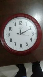 Horo (Imported) - 12 