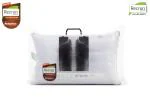 Recron Certified Medi Pillow 27x17 White Congueted Fiber Plain Pack of 1