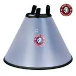 Petslike Wound Healing Cone Protection Smart Dog Head| Elizabeth Cone collar Transparent (Size 2-For Large Dogs)