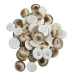 Spillbox Original Gomati | Gomathi Chakra | Chakram for Lakshmi Pooja | Puja, Wealth, Luck, Astrology - 51