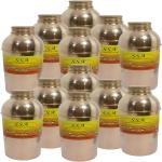 Shiv Shakti Arts Set of 12 Bisleri Design Fridge