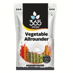 365 SPICERY Vegetable Allrounder 1Kg Pouch Pack