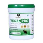 AYURNEXT VEGANPRO Protein I Vegan Plant Protein with 10 Herbs I Ayurvedic protein I 50% Protein Per Serving Sugar Free I Chocolate I 200GMS