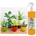Adasca Liquid fertilizers for Indoor & Outdoor Plants 1000 Ml| Good For Plants & Suitable for Home Garden Fruiting and Flowering | Easy Ready to Spray Liquid Fertilizer Bottle | Plant Growth Booste