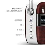 Saregama Carvaan Malayalam - Portable Music Player with 5000 Preloaded Songs, FM/BT/AUX (Cherrywood Red)