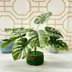 Dekorly Potted Plants Indoor Small Artificial Silk Plants Decor for Home Table Office Desk Bedroom Living Room Bathroom Shelf Farmhouse | Round Wooden Pot (Height : 30CM, One Plant, Design-C)