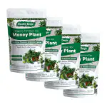 Garden Genie Money Plant Essential Organic Fertilizer, Heathier Greener and Shinier leaves for Indoor and Outdoor Gardening, Plant Growth Booster 1.8Kg (4 Packs of 450g)