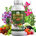Parle Ropvatika Liquid Seaweed Concentrate for Plants 1 Liter Fertilizer for All Indoor and Outdoor Plants