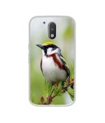 Casotec Bird Pattern Design Printed Silicon Soft TPU Back Case Cover for Motorola Moto G4 Plus