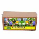 GREENEEM Grow Your Own Coir Block,Coco Peat,Coco Powder,Cocopeat for hydroponics(650 gm Coir Block)