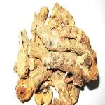 Xetomos Pakhanved Pashanbheda Pakhanved Jadd Bergenia ligulata Saxifraga ligulata 250g