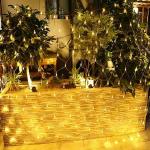 GlowserieLed Net Lights Outdoor Waterproof Mesh Fairy String Light Christmas Garland Garden Decoration 3M*3M 300 LED