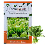 Farmgokart |20 Gms SPINACH (PALAK ) SEEDS |for Home Gardening , Farming , Hydroponics and Poly Houses|