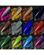 WorldWesties Holographic 5g Each Nail Glitter 12 Colors Holographic Glitter Effect Ultra Fine Glitter Powder Manicure Decoration Tips Multicolor Pack of 12 Pieces
