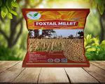 Iagrifarm Foxtail Millet - 5 kg - Natural Grains - (Kaon/Kang/Kangni/Kakum/Navani/korralu/Korra/Thinai). Millet Rice | High Protein & 100% More Fibre Than Rice