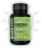 Omni Ayurveda | Garcinia Cambogia Capsules for Weight Loss Management, Fat Burner (60 Capsules)