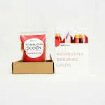 GUTBasket Kombucha Scoby and Kombucha Tea( Starter liquid), Make Kombucha drink at home- Organic Kombucha, Probiotic, Vegan, No Vinegar, No Artificial Flavors