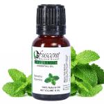FUSCENT Peppermint Premium Essential Oil for home fragrance & Soap Making, relaxation Pure Fresh And Undiluted Natural Essential oil 10ML