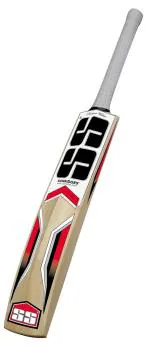 SS MASTER Cricket Bat For Mens and Boys (Colour: Beige, Size-5) | Material: Kashmir Willow | Lightweight | Free Cover | Ready to play | For Intermediate Player | Ideal For Leather Ball