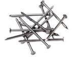 Cesco Carbon Steel Hardware Regular Nails Kit And Multipurpose Use, 50 Mm X 14 Gauge - 1 Kg