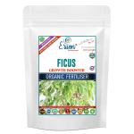 Erwon Ficus Growth Booster, Premium Essential Powerful Organic Fertilizer for Overall Growth of Ficus Plants, with Charged Micro-Organism and ++ Micronutrients (200 gm)