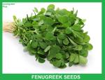 Countgreen Plus Fenugreek Vegetable Seed, 10 Per Packet