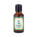 KUNJ Camphor Essential Oil (Cinnamomum camphora) 100% Pure & Natural Undiluted Therapeutic Grade, Steam distilled, For Skin & Hair Care, -30ml