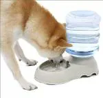 ULTRAZON Automatic Pet Water Dispenser,Cat/Dog Waterer Dispenser( Pet Self-Dispensing Water Dispenser)