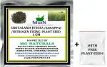 MGBN THE PATH FOR THE HEALTHIER LIFE WITH BEAUTY Crotalaria Juncea, Sanappai, Nitrogen Fixing Plant Seed 1 g (with Free Plant Seeds)