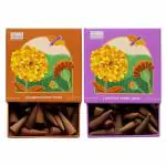 HELP US GREEN Natural Incense Fragrance Cinnamon and Lavender Dhoop Cones with Holder (80 pcs) | Havan for Pooja, Home & Festivals I Natural Guggal/Loban Original |Pack of 2 (40 Cones/pack)
