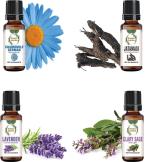 botanic garden Spikenard,Chamomile,Lavender,Clary Sage oils for Extreme stress-10ml each (40 ml)