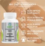 NEUFERT Ashwagandha Capsule 500mg (60 Capsuel)
