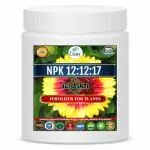 ERWON NPK 12:12:17 for Plants (200 gm)