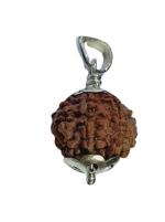 Feel Touch Mart 7 Mukhi Rudraksha Nepal Bead Recommend by Astrologer with Certified by Lab