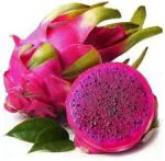 XOLDA Dragon fruit Seed (25 per packet)