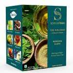 Cherise Specialiteas Morning Glory Moringa Ginger Herbal Green Tea (2 g x 25 Pyramid Tea Bags)
