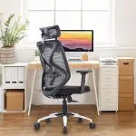 YTT Office Chair | Headrest, Lumbar Support, Adjustable 2D PU Armrests, Tilt Lock Mechanism, Metal Base | Home Office Desk Chair Having Different Color (Black)